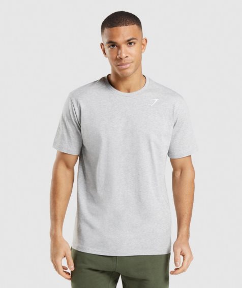 Men's Gymshark Crest T-Shirts Light Grey | NZ 6MDJNZ